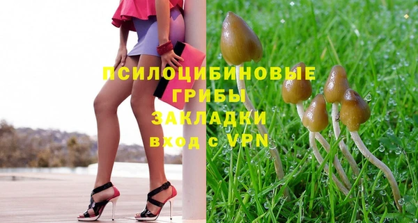 МДПВ Аркадак