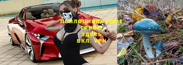 винт Арсеньев