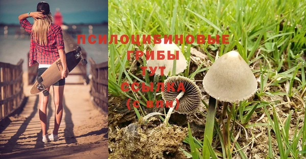 МДПВ Аркадак