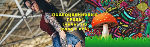 МДПВ Аркадак
