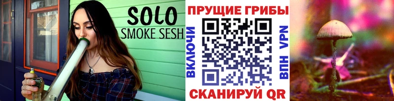 OMG ССЫЛКА  Сельцо  darknet официальный сайт  Галлюциногенные грибы ЛСД 